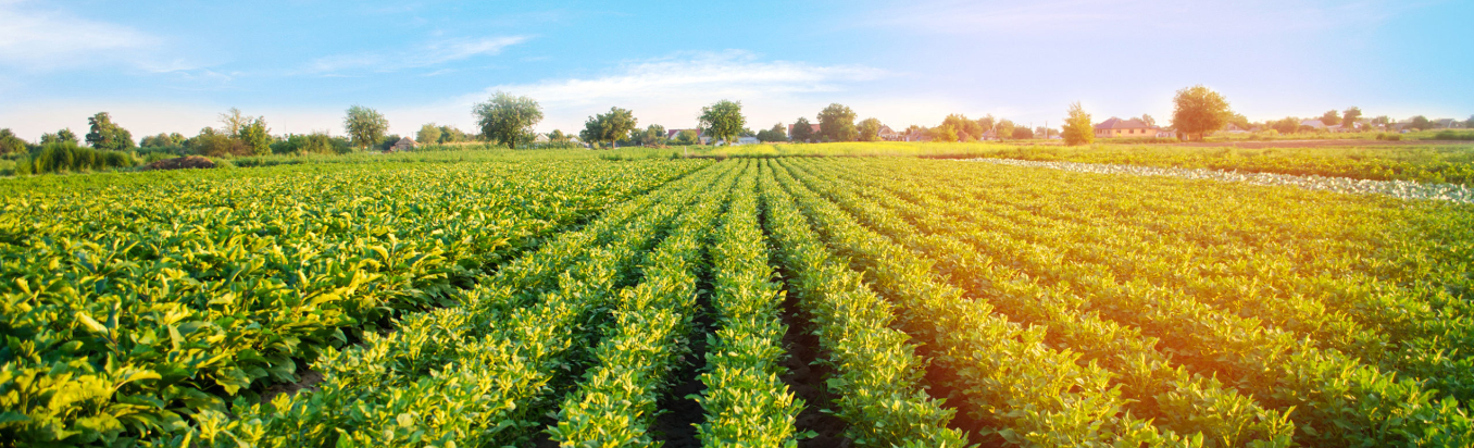 1659516183864982.png image.png