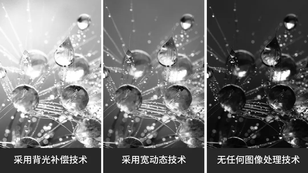 XGS6500M-H圖像質(zhì)量更高 XGS6500M-H圖像質(zhì)量更高